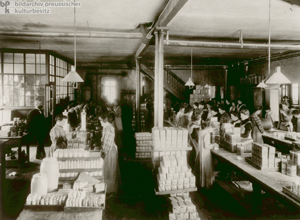 Quinine Production (c. 1900)